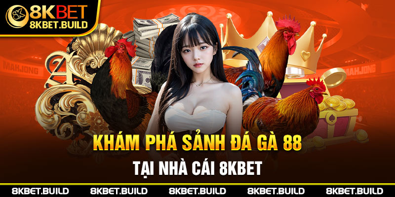 Khám phá sảnh đá gà 88 tại nhà cái 8KBET