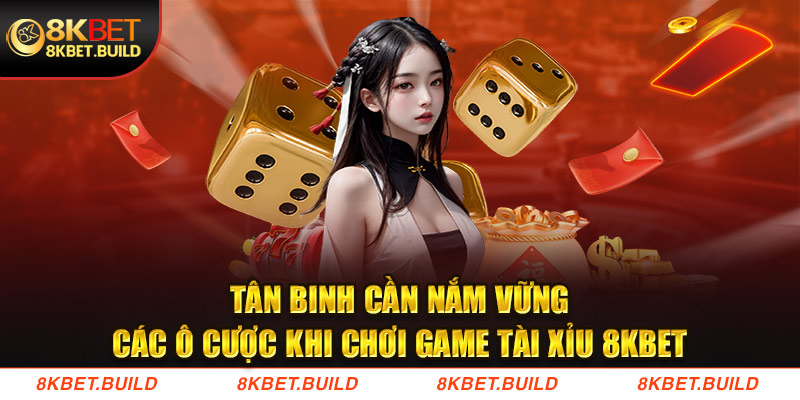 Tân binh cần nắm vững các ô cược khi chơi game Tài xỉu 8KBET