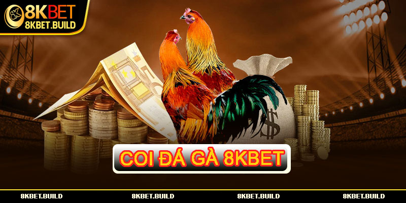 coi đá gà 8KBET