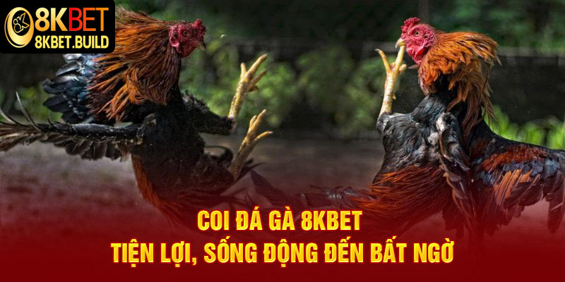 Coi đá gà 8KBET với âm thanh sống động, kịch tính