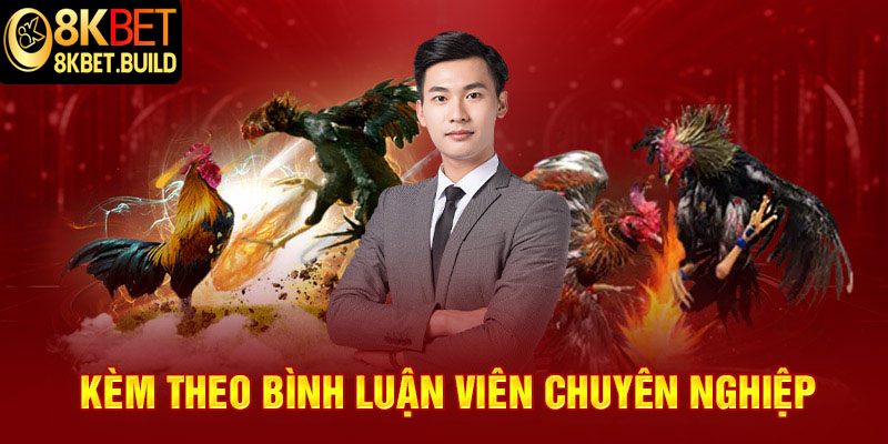 Xem đá gà tại 8KBET kèm theo bình luận viên chuyên nghiệp