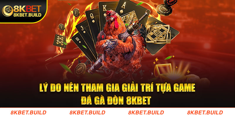 Lý do nên tham gia giải trí tựa game Đá gà đòn 8KBET